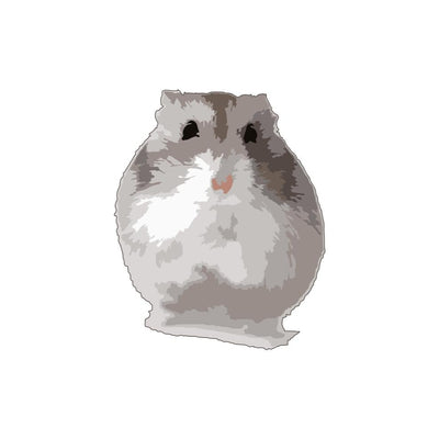 Hamster