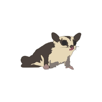 Sugar Glider