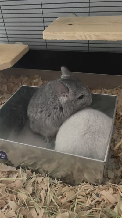 All Metal Chinchilla Dust Bath