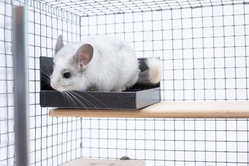 Chinchilla Litter Box Accessories Quality Cage Crafters 